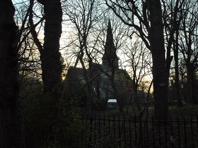 Domestic Air Floral Species to Enhance Your Living Space