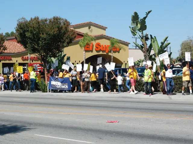 Advantages and Disadvantages of the Fresh Architectural Designs