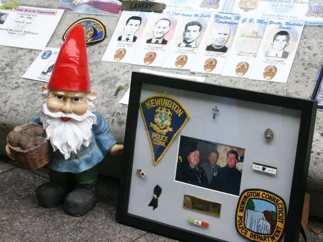 Affordable Presents for Your Partner, Expressing Thoughtfulness Without Straining Your Budget