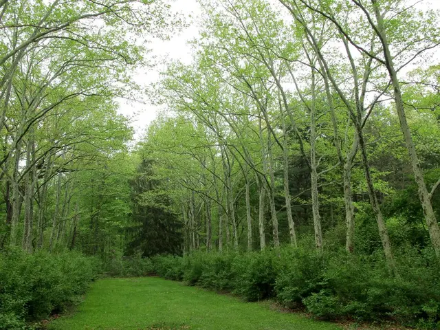 Devon's innovative farm embraces various creatures, including marijuana, slugs, moles, and rodents,...