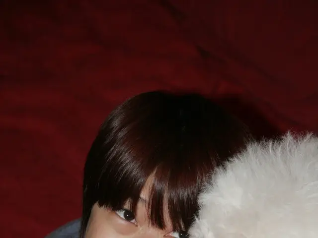 The Emotional Adventure of Being a Pet Owner