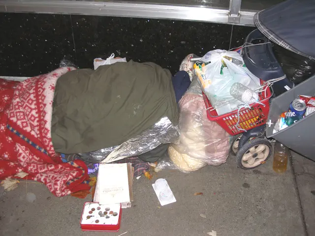 Necessary Equipment for Your Next Hiking Expedition