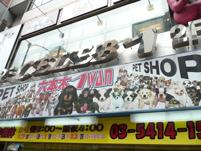 Platform's Update Conducted on July 30, 2025