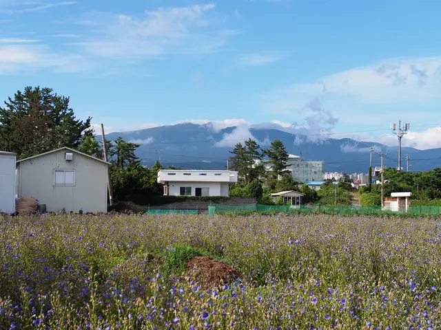 Region's Energy Transformation Ahead: EcoVille Holding Takes Control