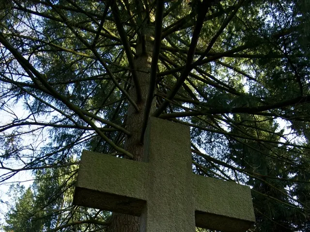 Crafting the Perfect Cross: A Detailed Instructional Guide on Cross Dimensions