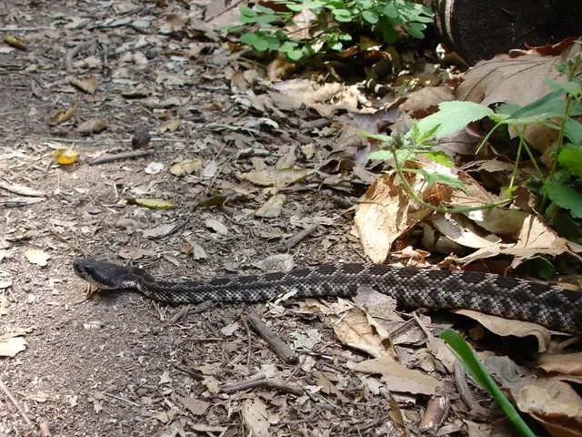 Top Indoor Flora with Minimal Care Demands and Air-Refreshing Qualities