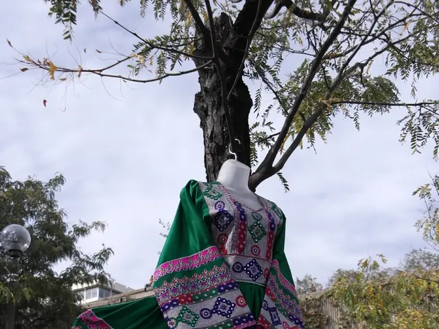 Strategies for Outsourcing Apparel Production: Examining Advantages and Disadvantages for...