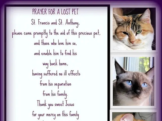 Overflowing Animal Shelter in Thuringia Strains Resources