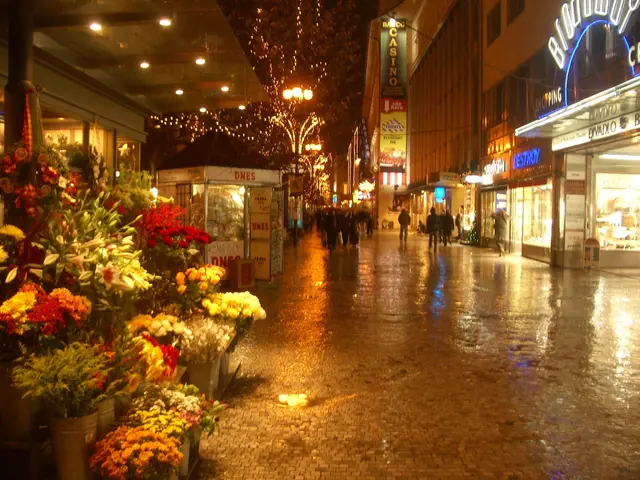 Elderly patrons at the annual national botanical exhibition