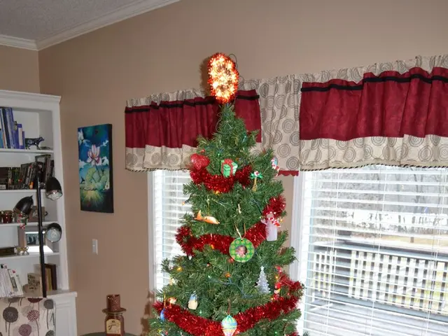 Exterior holiday ornaments and adornments