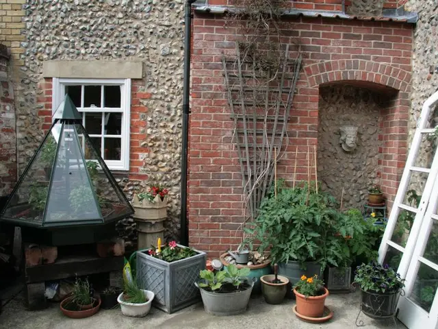 Reusing old tights for gardening this summer: a space-saving idea suggested by horticulture...