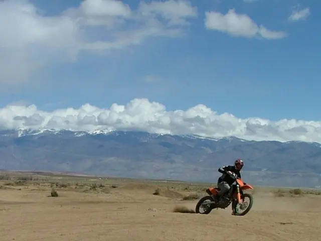 Enter the competition to secure a Cobra self-propelled lawnmower, valued at more than £380!