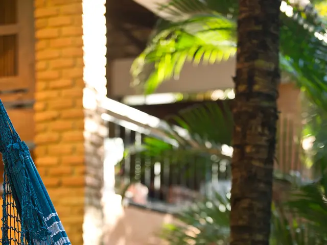 Before embarking on a nudist excursion as a bi-sexual, Mimi admitted, "Many are bashful."