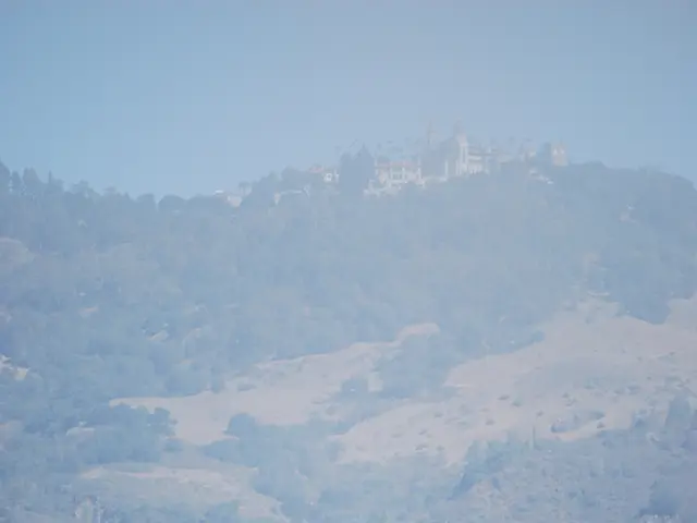 Children's livestock procession held in Alicante for the first time