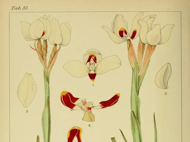 Gardening Tactics: Effective Green Solutions to Dissuade Pests and Insects from Overrunning Your...