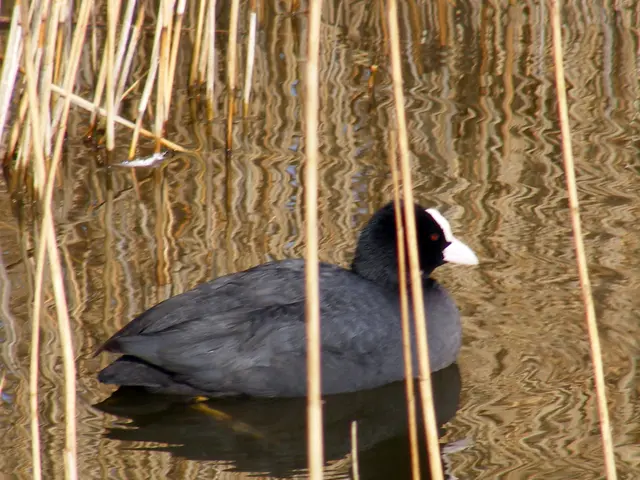 Concerned about intrusive weeds? Learn about 8 prevalent types of weeds and strategies to eradicate...