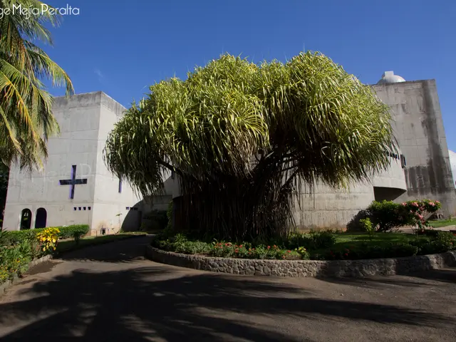 Hand in Your Electronic Dance Event Credentials