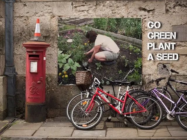 Bicycle Trails Along Bautzner Street