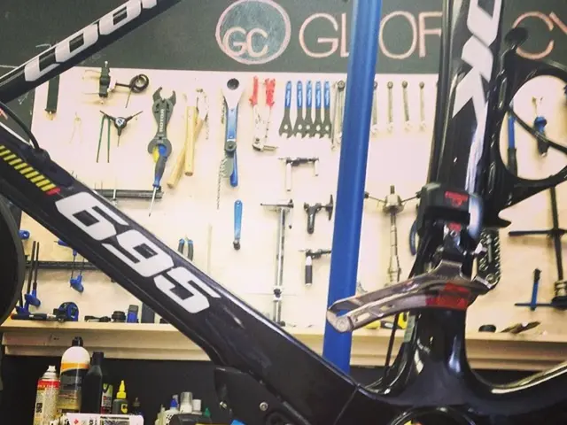 Biking and bonding in Magdeburg: An afternoon of leisure and camaraderie in the city