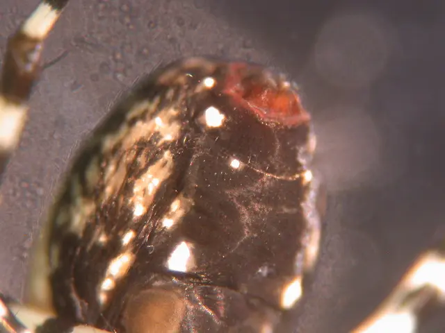 Affordable Home Saver: Summer Bug Fix Under $20 Revealed