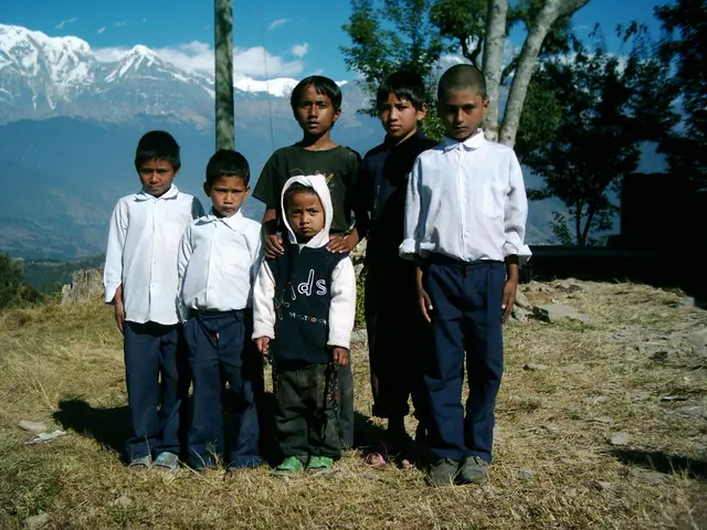 Guide to Garden Design and Planting Strategies