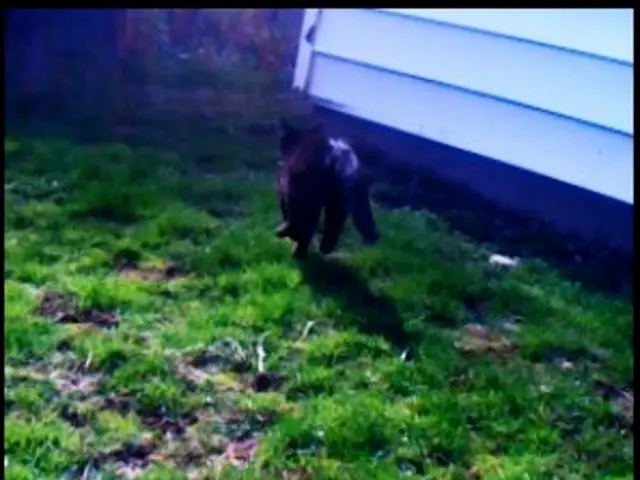 Potential peril looms over Thuringia!