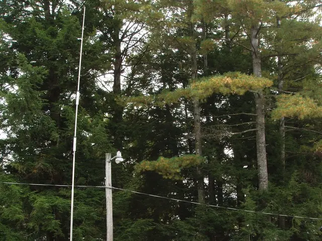 Experiencing a malfunction in a 1998 caravan with no water or electricity – here's my remedy