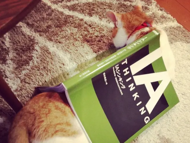 Living as a pet product tester, I've discovered an expedient, budget-friendly solution for your...