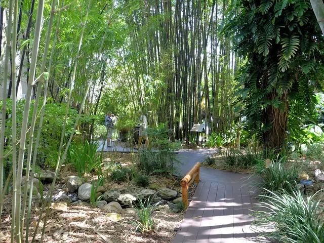 Hiking Journey from East Rim Trail to Jolley Gulch Overlook (Zion National Park)