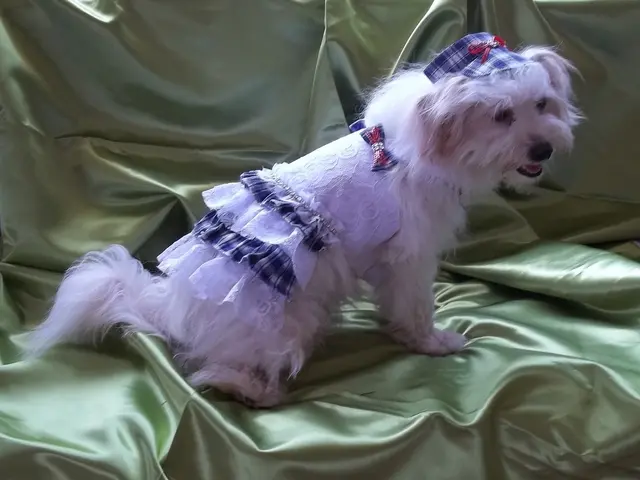 Tales spun by Elli: Homespun narratives by Elli