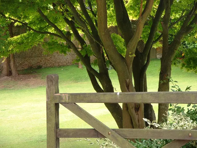 Urban Landscape Ecology's Role in Crafting Sustainable Metropolises