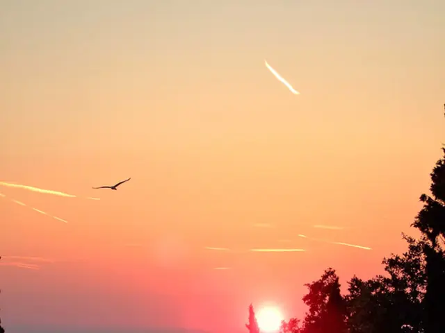 "The establishment of "Nora's Rabbit Hole" occurred in the "Cloud Park" of Krasnodar"