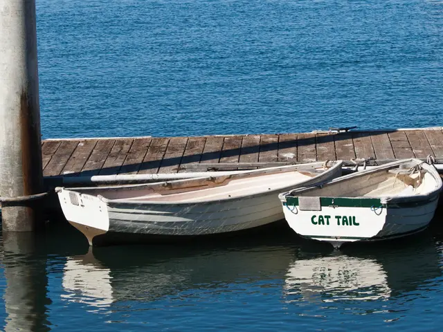 Crime Occurrence: Paderborn, Year 2025