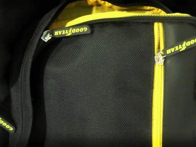 Sustainable Travel Essential: The Boom of Eco-Friendly Backpacks