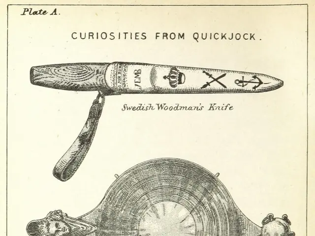 Mastering Japanese Knives: An Introduction to Sharp, Accurate Cutteries!