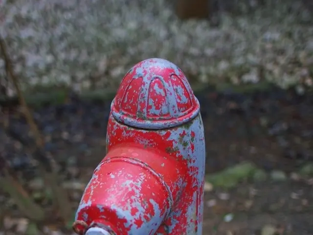 Modifying Drains with Pipe Relining: A Recent Innovation for Unclogging Sewers