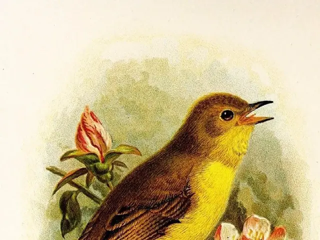 SVG Design of a Variegated Bird Arrangement