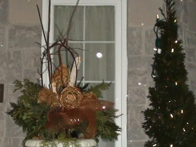 Transformed agricultural park into a magical Christmas landscape with glowing decorations