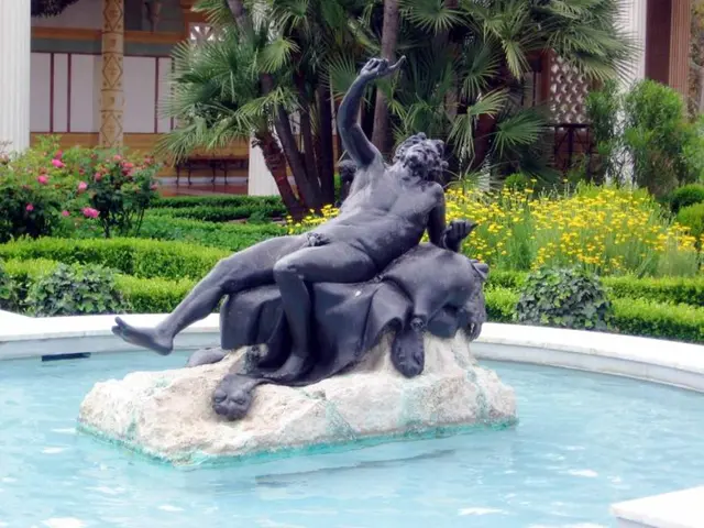 Transformed garden thoughts: I once considered potted plants as mere decorative elements - until...