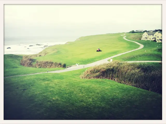 Ready in 10 minutes from now!