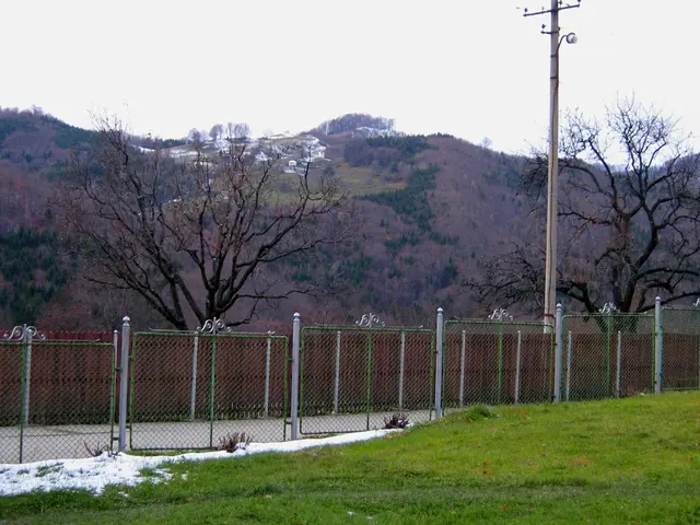 Alpaca sanctuary, brimming with fluffy companions, is a mere two-hour drive from New York City –...