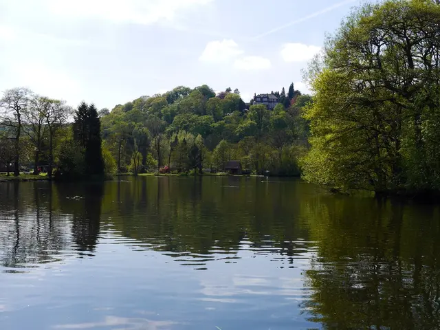 Surrounding Wiesbaden, there are numerous lakes ideal for bathing