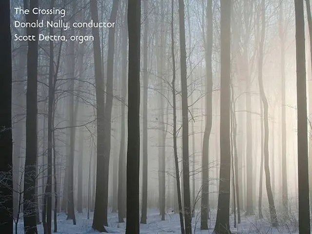 Winter Garden Care: Handling Winter Burn and Freezing Injuries