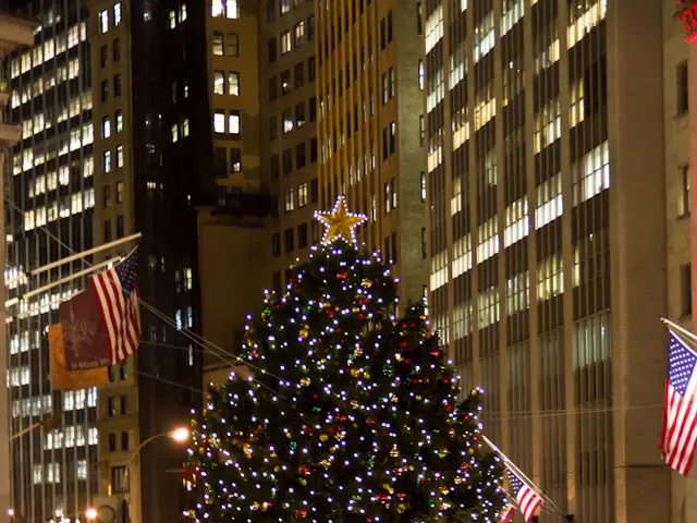 Transformed agricultural park embraces the festive spirit as Christmas illuminations are installed
