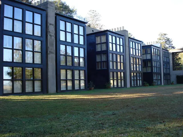 Experience of a Dutch resident in Clare: "Nothing beats strolling through a forest that belongs to...