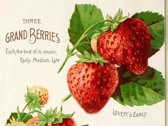 Today's mandate entails utilizing "silver dew" for your cleaning rituals.