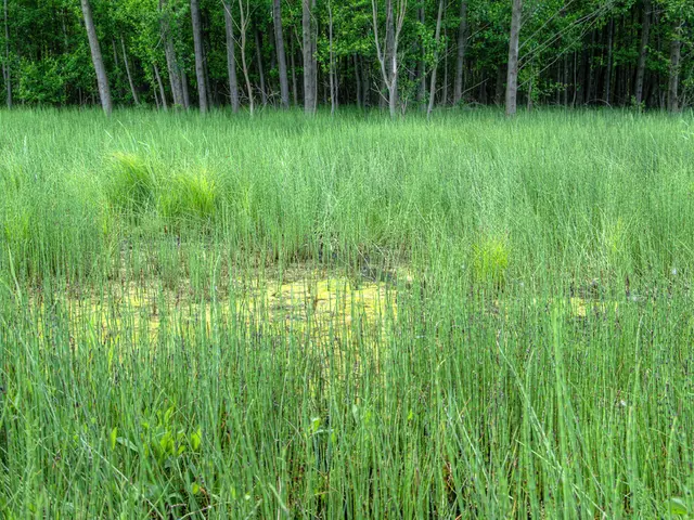 Active Farming Living: Unveiling the Advantages of an Engaging Rural Agriculture Existence