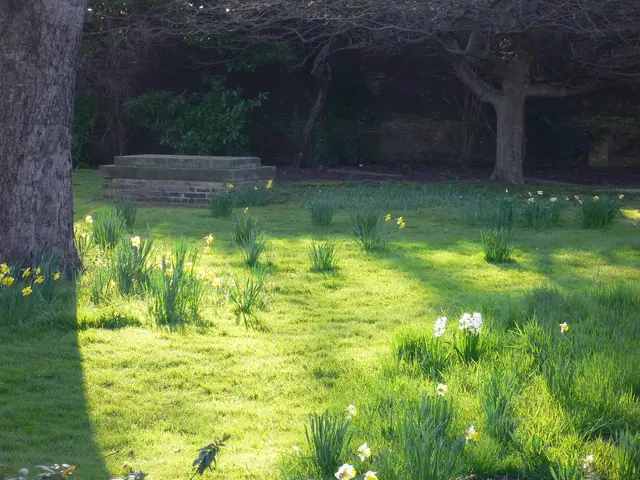 Discovering Sissinghurst Castle Garden in Autumn's Foliage: The Architecture of Harold Nicolson...