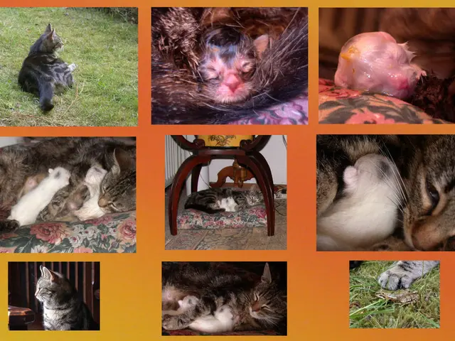 Feeding Practices at Minsk Zoo