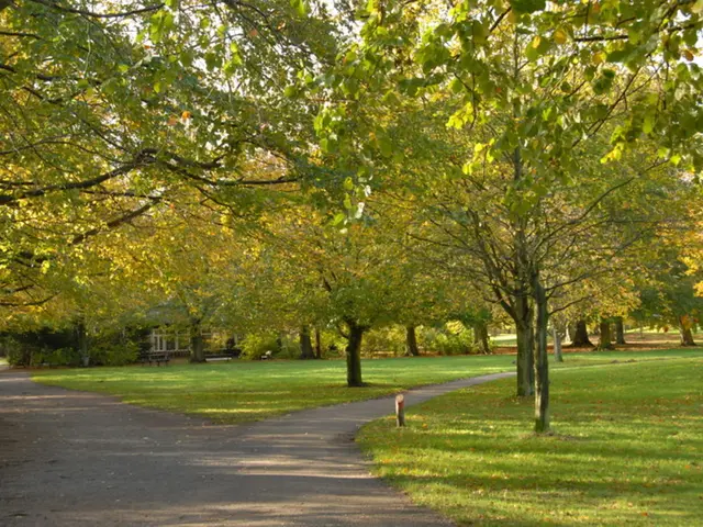 Innovative Landscaping Ideas for Your Front Yard to Radically Revamp Your Exterior Environment